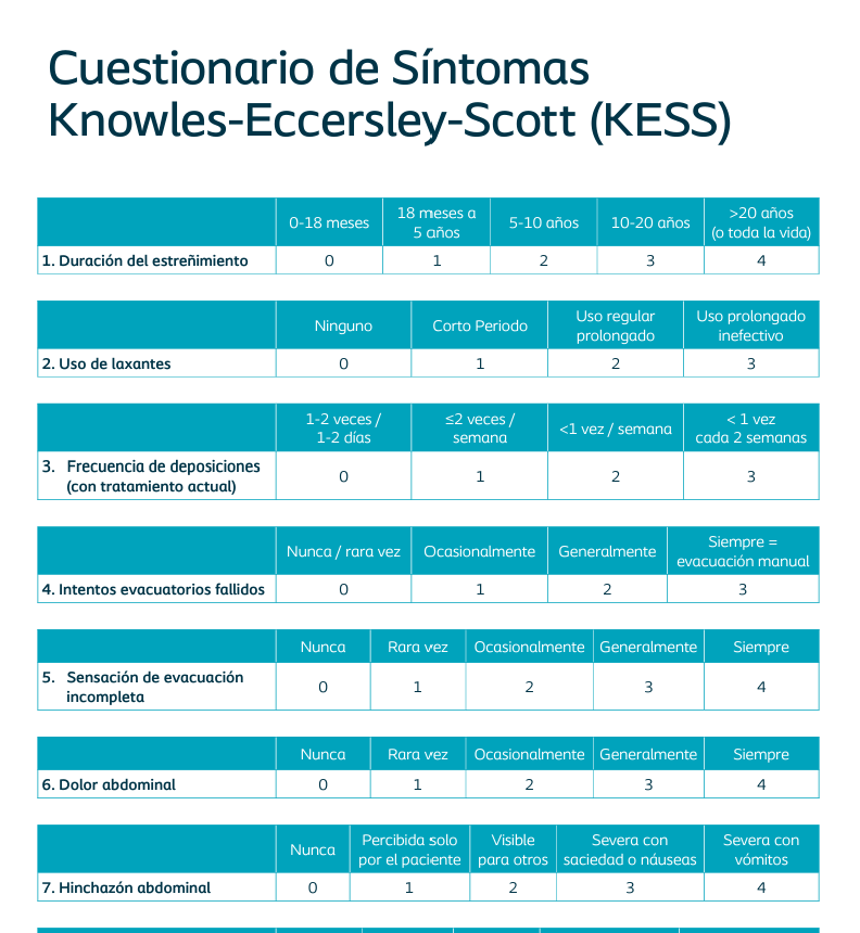 Cuestionario KESS